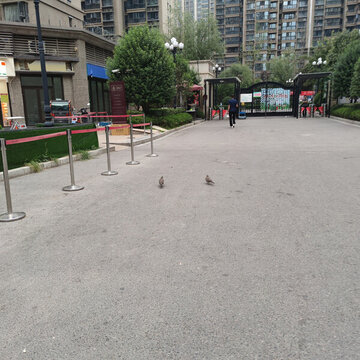 2023年在西安