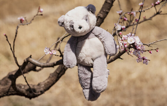 桃花树与玩偶熊