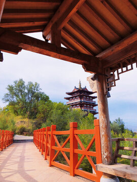 螞蟻山旅游