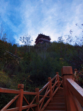 螞蟻山公園