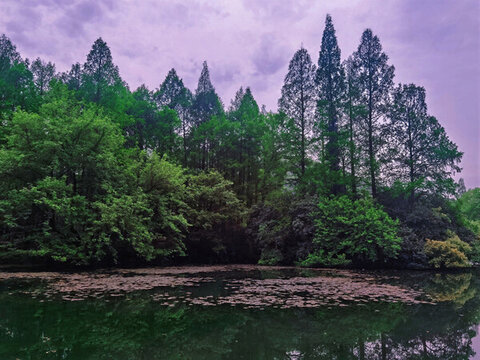 杭州煙雨西湖景區(qū)景區(qū)文化遺產(chǎn)
