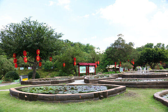 番禺蓮花山風景