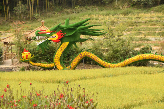 田野風(fēng)光