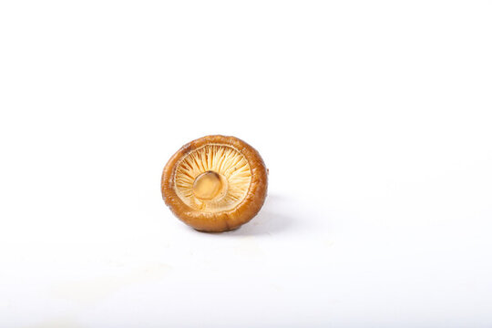白底背景上的香菇