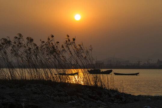 夕陽黃昏蘆葦漁船