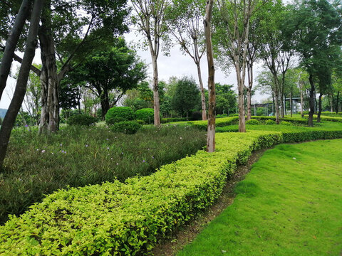 公園