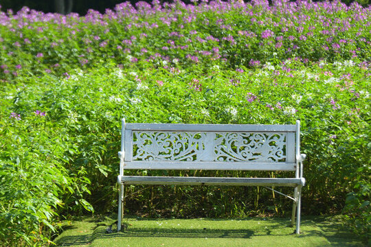 公園的風景