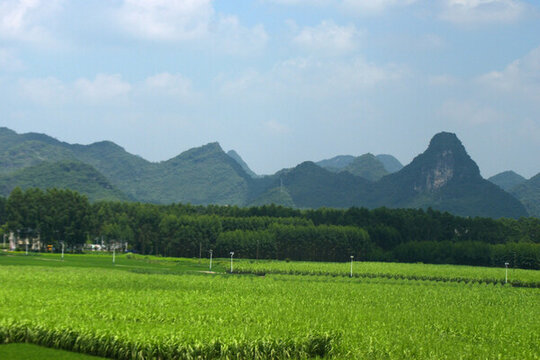 山水風光