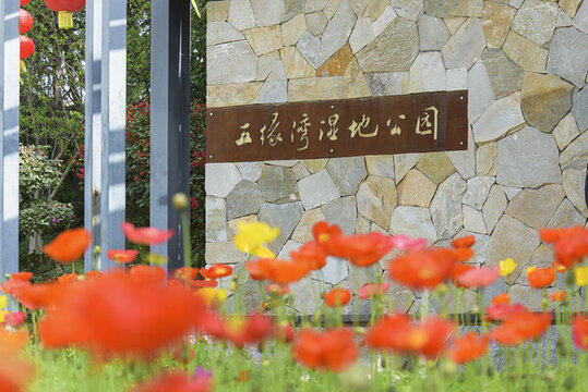 廈門五緣灣濕地公園