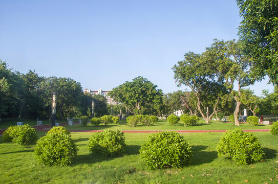 公園綠化植物景觀