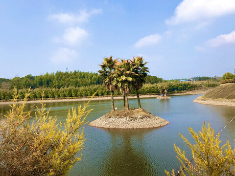 湖中小島