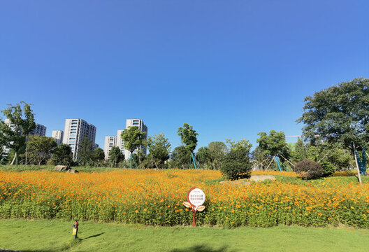 奉化濕地公園