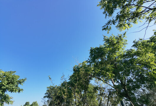 奉化濕地公園