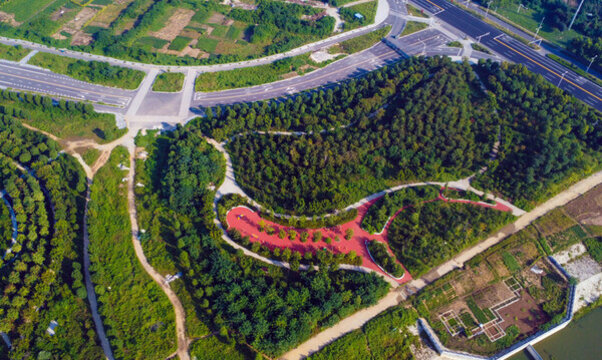 城市公園