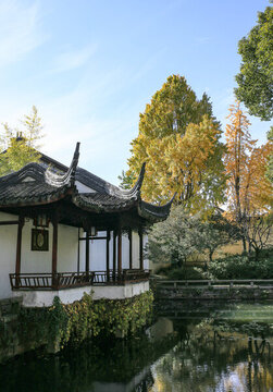 拙政園秋景