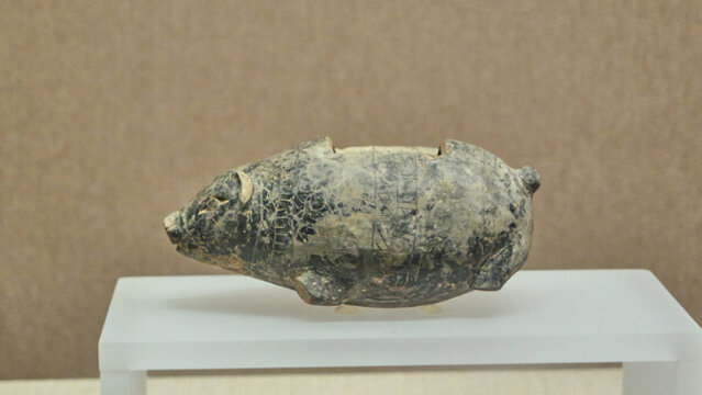 泥質(zhì)黑衣陶豬形尊