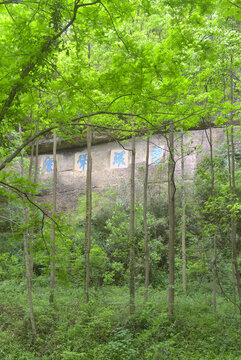 四川劍門關(guān)云環(huán)聳翠摩崖石刻