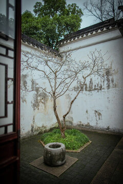藕園