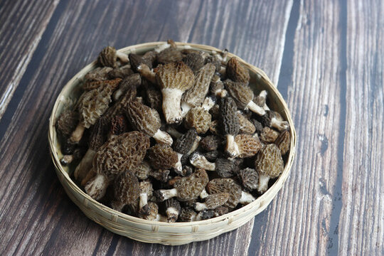 羊肚菌云南野生菌干羊肚菌