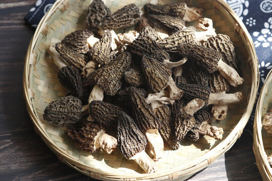羊肚菌云南野生菌干羊肚菌