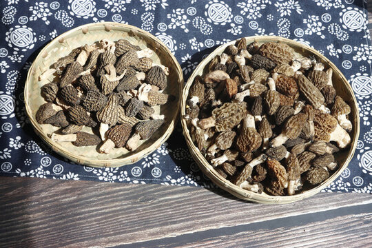 羊肚菌云南野生菌干羊肚菌