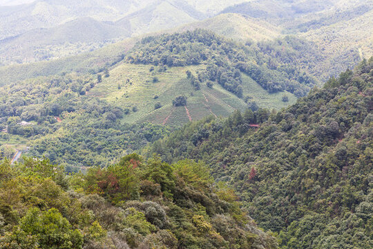大山風(fēng)景