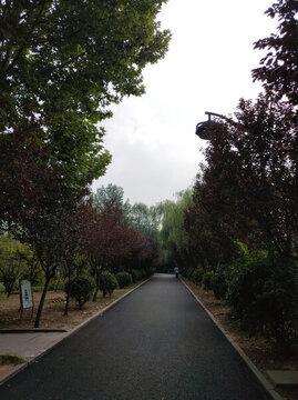 公園