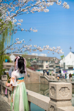 櫻花