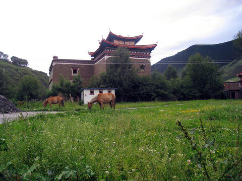 新都橋風(fēng)景圖