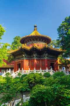 中國北京故宮博物院風光