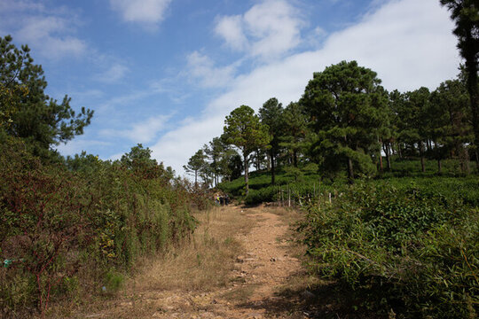 山村小路