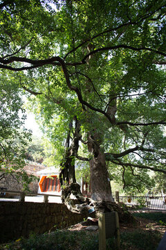 西山羅漢寺