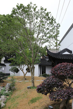 常熟三峰