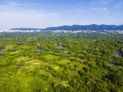 5A風景區(qū)西溪國家濕地公園
