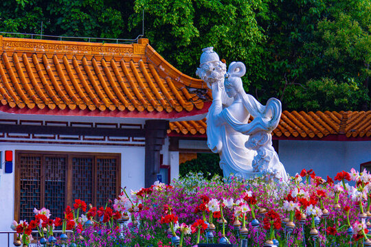 仙湖植物園