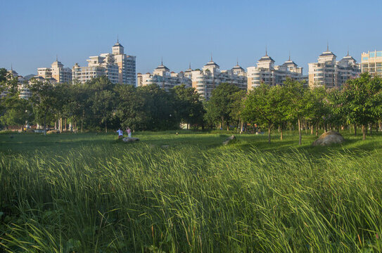 公園社區(qū)