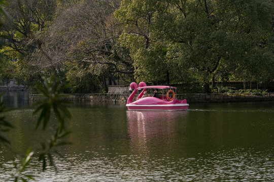 公園游船