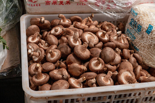 一筐香菇香蕈菌售賣(mài)