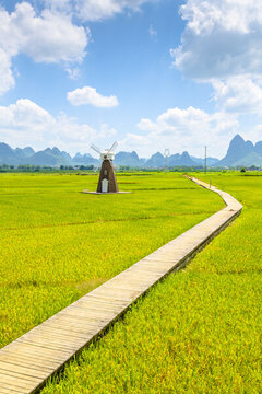 廣西柳城古砦稻花飄香景區(qū)
