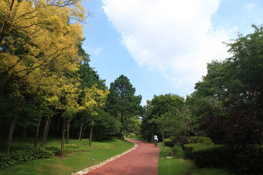 日照植物園