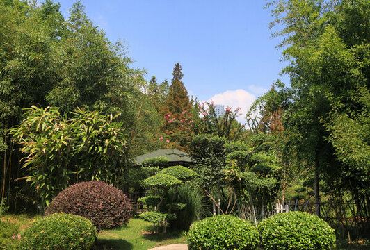 日照植物園