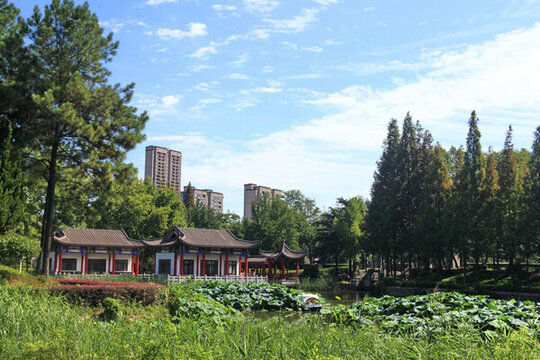 海曲公園