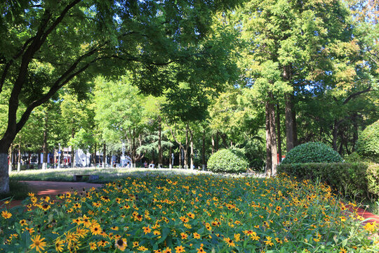 海曲公園