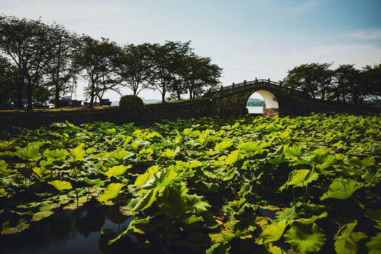 夏日長(zhǎng)生橋