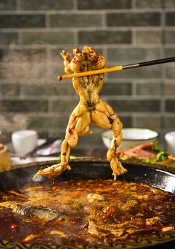 筷子夾起煮好的蛙肉