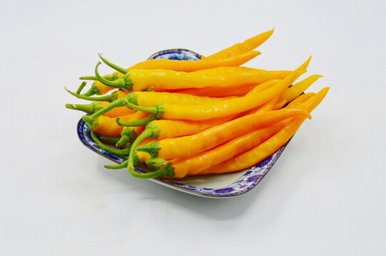 太空蔬菜