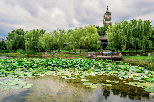 舍利塔灘地公園