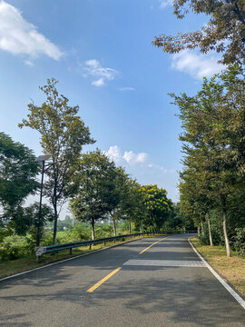向前延伸的鄉(xiāng)村公路