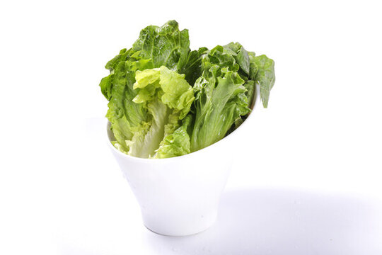 生菜
