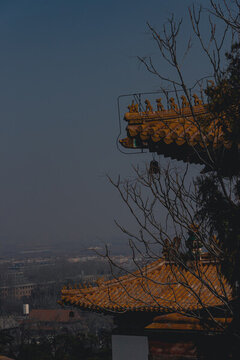 頤和園